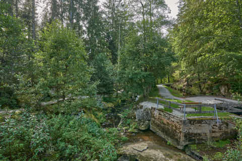 Gemeinde Waldkirchen Landkreis Freyung-Grafenau Saußbachklamm (Dirschl Johann) Deutschland FRG